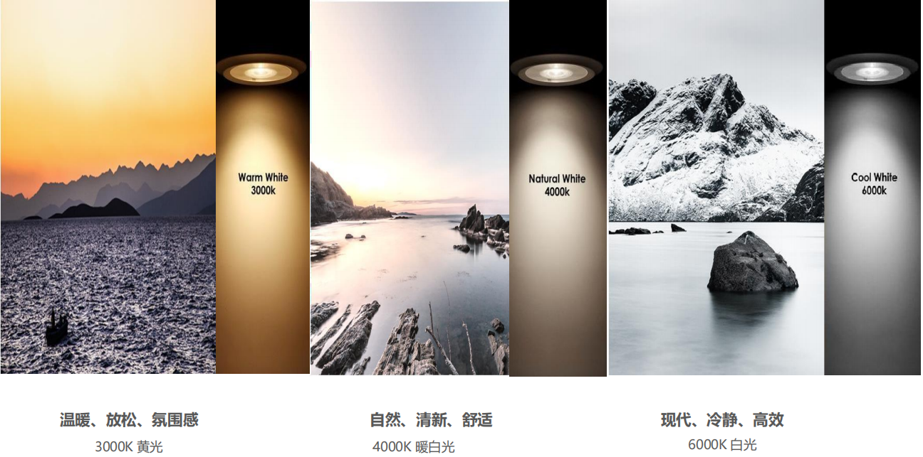【设计案例】普照国康医药办公室项目概念设计——以空间叙事，筑品牌基因(图26)